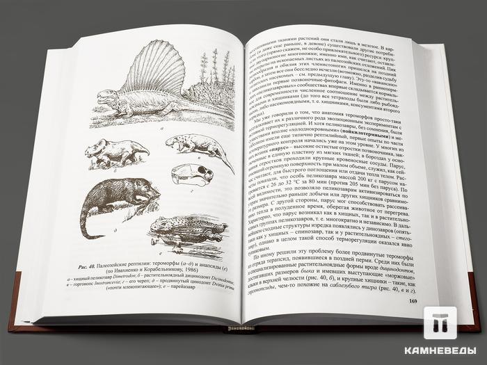 Книга: Еськов К.Ю. «Удивительная палеонтология: история Земли и жизни на ней», 12470, фото 2
