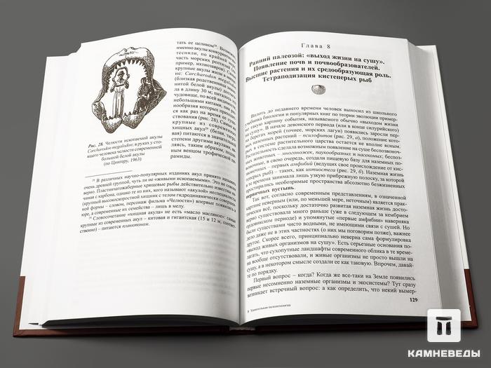 Книга: Еськов К.Ю. «Удивительная палеонтология: история Земли и жизни на ней», 12470, фото 3