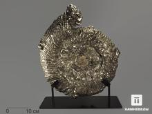 Аммонит пиритизированный на подставке, 48х39х11,3 см