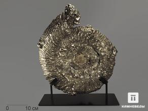 Аммонит пиритизированный на подставке, 48х39х11,3 см
