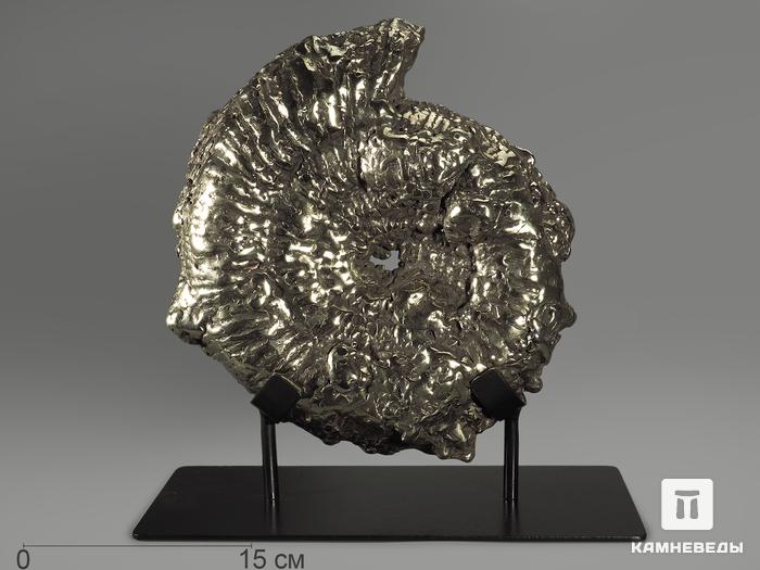 Аммонит пиритизированный на подставке, 28х23х7,5 см, 12005, фото 1