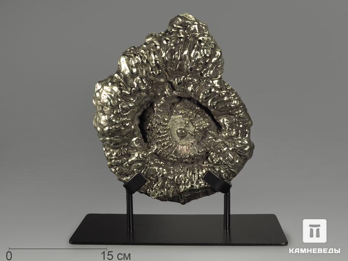Аммонит пиритизированный на подставке, 28х21х6,5 см, 4587, фото 1