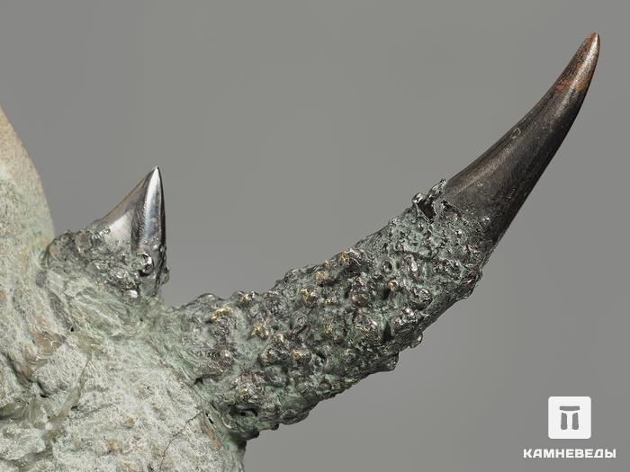 Носорог из талька (стеатита), 40х25х20 см, 12967, фото 4