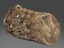 Датолит, кристалл 6,9х4,7х2,5 см, 12673, фото 2