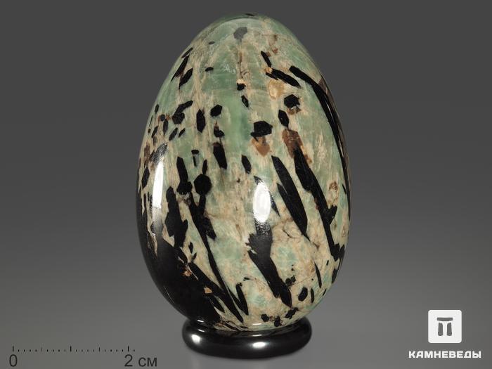 Яйцо из эгирина с эвколитом в полевом шпате, 6,2х4,2 см, 13037, фото 1