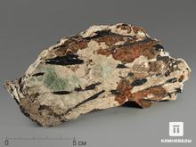 Эгирин с эвколитом в полевом шпате, полированный срез 13,8х7,5х1,9 см