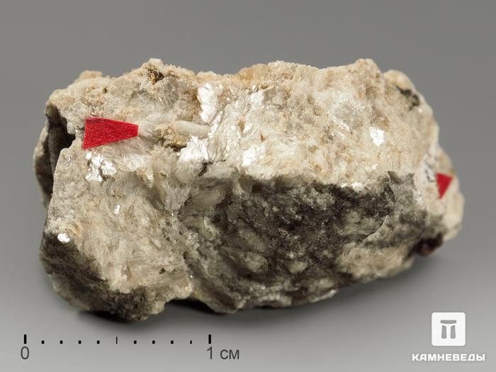 Сферобертрандит в пластиковом боксе, 2-3 см, 12558, фото 1