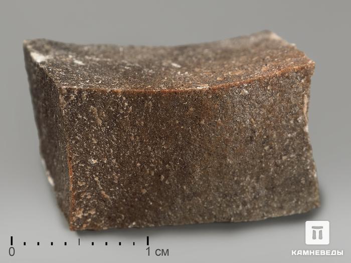 Шарыгинит в пластиковом боксе, 2-3 см, 12556, фото 1