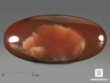 Ангидрит, полированная галька 10,7х4,8х2,3 см