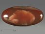 Ангидрит, полированная галька 10,7х4,8х2,3 см, 13179, фото 1