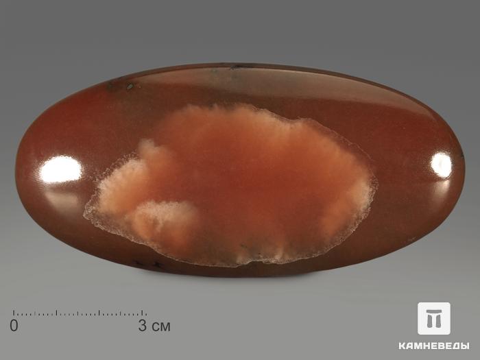 Ангидрит, полированная галька 10,7х4,8х2,3 см, 13179, фото 1
