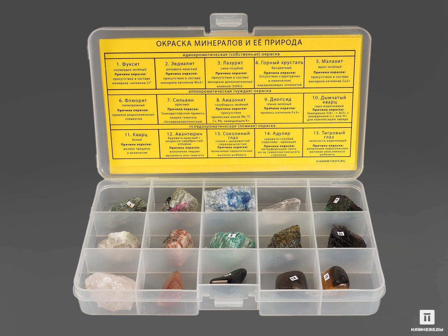 Коллекция «Окраска минералов и её природа» (15 образцов, состав №8) коллекция минералы россии в деревянной коробке 15 образцов состав 5