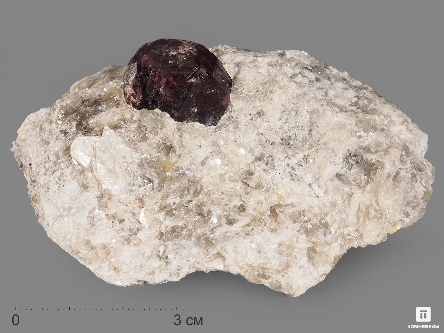 Гранат (альмандин), кристалл в сланце 8,5х5,5х5 см, 13267, фото 1