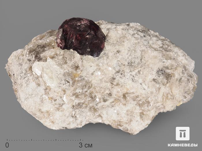 Гранат (альмандин), кристалл в сланце 8,5х5,5х5 см, 13267, фото 1