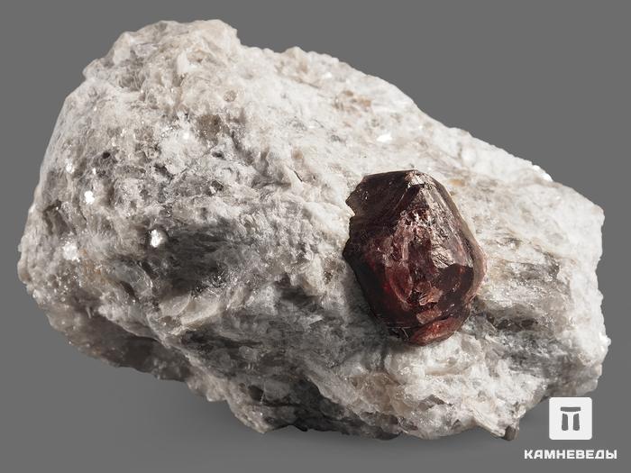 Гранат (альмандин), кристалл в сланце 8,5х5,5х5 см, 13267, фото 2
