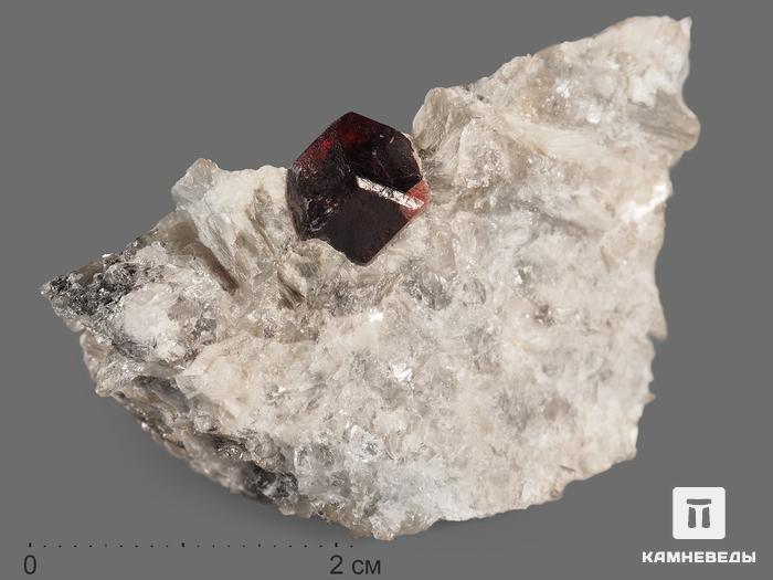 Гранат (альмандин), кристалл в сланце 4х3х2,7 см, 13272, фото 1