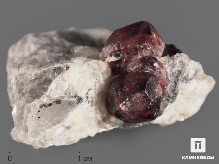 Гранат (альмандин), сросток кристаллов в сланце 3,7х3,5х1,7 см, 13273, фото 1
