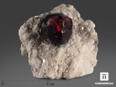 Гранат, Альмандин. Альмандин (гранат), кристалл в сланце 5,5х5х4,5 см