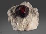 Гранат (альмандин), кристалл в сланце 5,5х5х4,5 см, 13269, фото 1