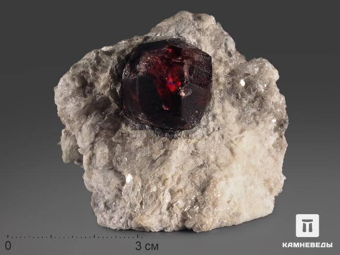 Гранат (альмандин), кристалл в сланце 5,5х5х4,5 см, 13269, фото 1