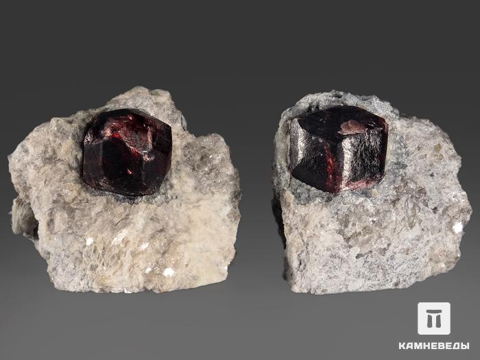 Гранат (альмандин), кристалл в сланце 5,5х5х4,5 см, 13269, фото 2