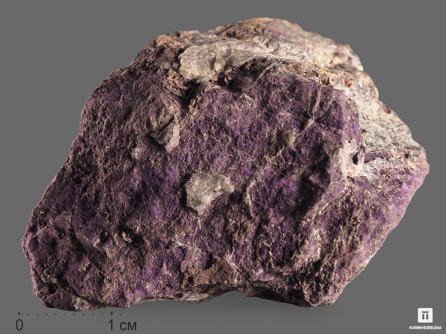 Пурпурит, 4,5-6 см, 13799, фото 2