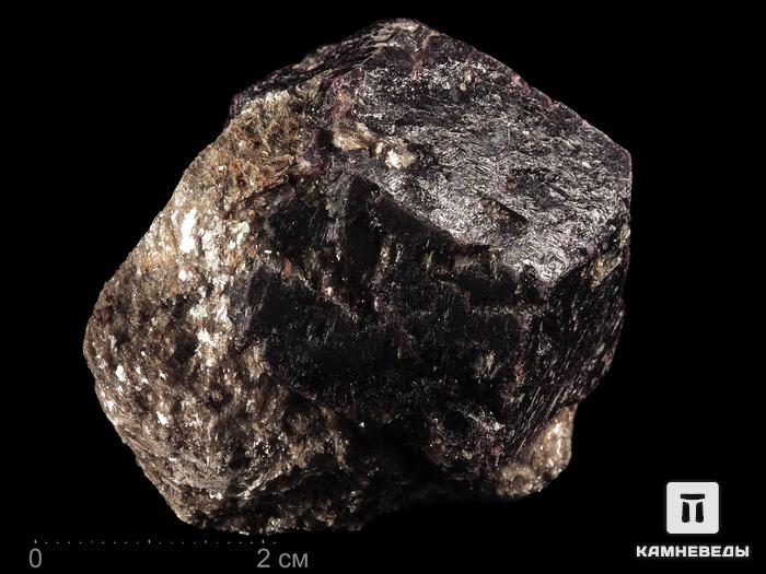 Альмандин (гранат), кристалл с мусковитом 5-6,5 см, 13207, фото 1