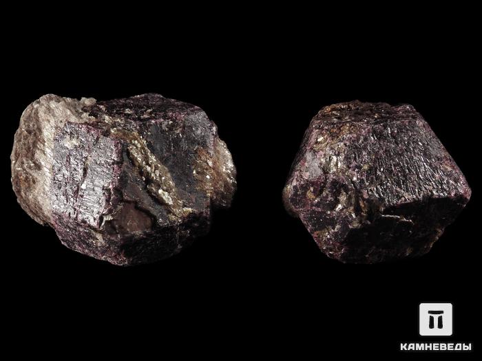 Гранат (альмандин), кристалл с мусковитом 5-6,5 см, 13207, фото 2