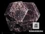 Гранат (альмандин), сросток кристаллов 4,2х3,6х3,2 см, 13198, фото 1