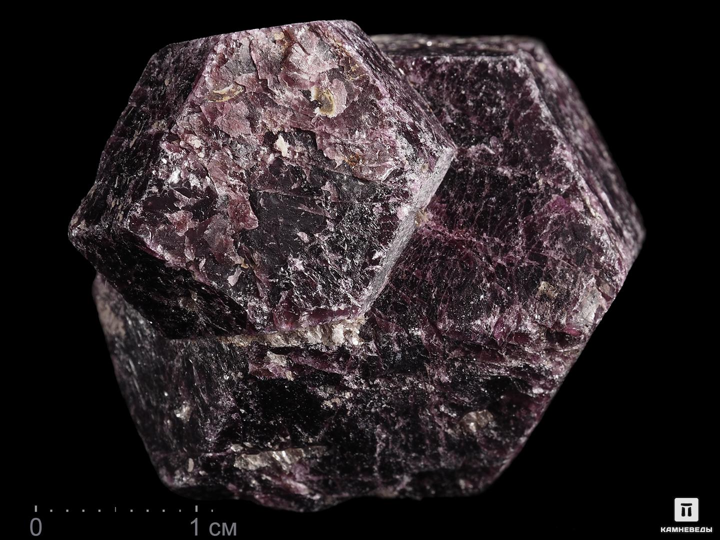 Гранат (альмандин), сросток кристаллов 4,2х3,6х3,2 см, 13198, фото 1