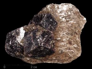 Гранат, Альмандин, Мусковит. Гранат (альмандин), сросток кристаллов на мусковите 6,4х4,5х3,5 см