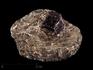 Гранат (альмандин), кристалл на мусковите 4,8х3,4х1,9 см, 13209, фото 1