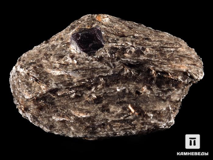 Альмандин (гранат), кристалл на мусковите 4,8х3,4х1,9 см, 13209, фото 2