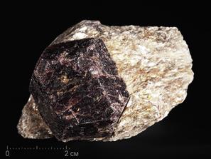 Гранат, Альмандин, Мусковит. Гранат (альмандин), кристалл на мусковите 6,4-6,8 см