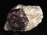 Гранат (альмандин), кристалл на мусковите 6,4-6,8 см, 13203, фото 1