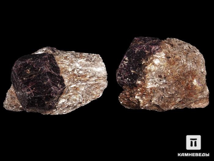 Гранат (альмандин), кристалл на мусковите 6,4-6,8 см, 13203, фото 2
