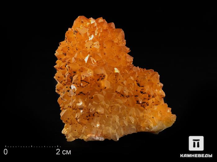 Друза сталактитовидного цитриновидного кварца (кактусового), 4,6х4,4х3,4 см, 13796, фото 1
