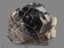Касситерит, кристалл на породе 2,8х2,7х2,2 см, 13687, фото 1
