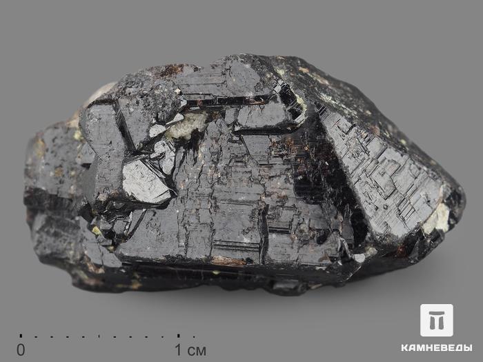 Касситерит, кристалл 3,3х2х1,6 см, 13688, фото 1