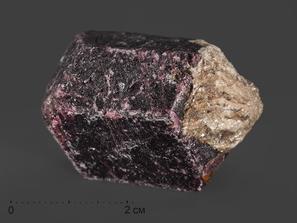 Гранат (альмандин), кристалл 3,5-4 см