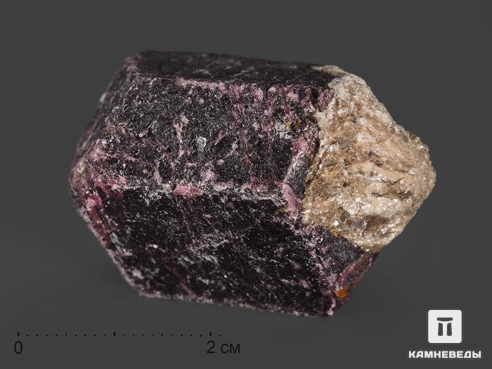Гранат (альмандин), кристалл 3,5-4 см, 13192, фото 1