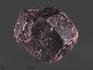 Гранат (альмандин), кристалл 5-6 см, 13194, фото 1