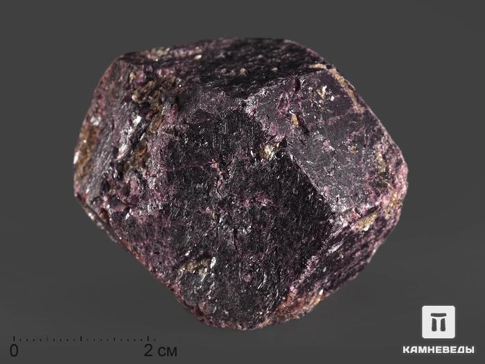 Гранат (альмандин), кристалл 5-6 см, 13194, фото 1