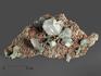 Кальцит, кристаллы на породе, 20,2х10,9х4,8 см, 13213, фото 1