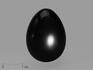 Яйцо из обсидиана, 3х2,2 см, 14104, фото 1