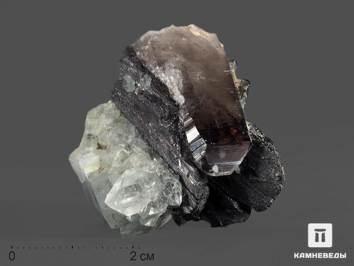 Вольфрамит с топазом и дымчатым кварцем (раухтопазом), сросток кристаллов 5,2х4,3х3,3 см, 5581, фото 1
