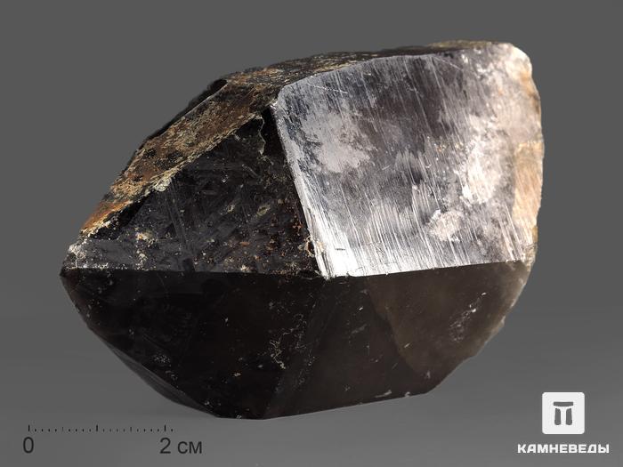Дымчатый кварц (раухтопаз), кристалл 9,4х5,8х4 см, 12516, фото 1