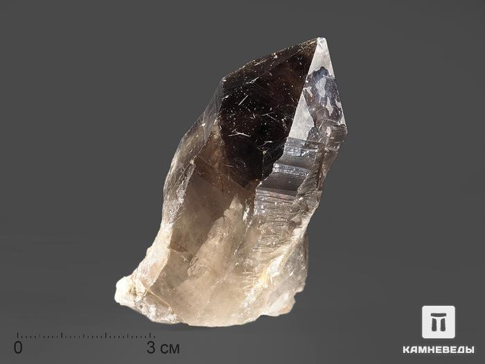 Дымчатый кварц (раухтопаз) с кристаллом касситерита, 7,1х4х3,3 см, 12506, фото 1