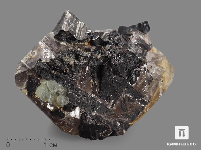 Касситерит с дымчатым кварцем (раухтопазом), сросток кристаллов 4,4х3х2,5 см, 12484, фото 1