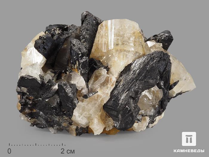 Вольфрамит с топазом, сросток кристаллов 7,3х5,1х4,5 см, 12478, фото 1